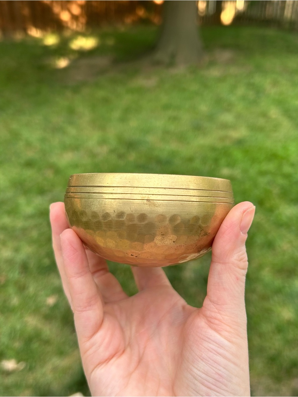 Hammered Brass Singing Bowl